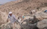 ادای دین به طبیعت با روش علمدار پارسانژاد