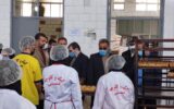ایوبی در شب عید مبعث خبر داد که با حضور شورای تامین از تولید آزمایشی کارخانه کیک و کلوچه ممسنی پرده برداری نموده است!