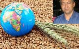 تخلیه خزانه ژنی دامی؛ پرسمان فراروی امنیت غذایی