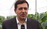خرید بیش از یک میلیون تن گندم در فارس