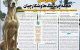 حیات‌وحش طعمه‌چرب سگ‌ها و شکارچیان