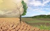 هر سال ‌یک ‌میلیون هکتار از خاک ایران بیابان می‌شود