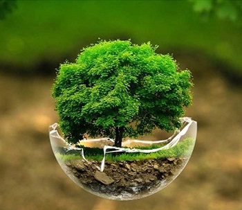تشدید جنگ انسان با طبیعت در ممسنی