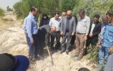 بخشدار مرکزی شهرستان ممسنی در غرب فارس به همراه دهیاران و مسئولان منابع طبیعی این شهرستان در روستای چمگل حاضر و پویش درختکاری به مناسبت روز ملی روستا و عشایر را آغاز نمود. بخشدار مرکزی شهرستان ممسنی در غرب فارس به همراه دهیاران و مسئولان منابع طبیعی این شهرستان در روستای چمگل حاضر و پویش درختکاری به مناسبت روز ملی روستا و عشایر را آغاز نمود.